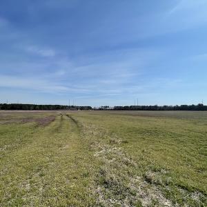 Photo #14 of Off Mini Road, Onley, VA 119.4 acres