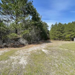Photo #15 of Off Mini Road, Onley, VA 119.4 acres