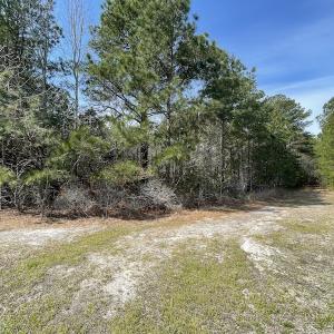 Photo #16 of Off Mini Road, Onley, VA 119.4 acres