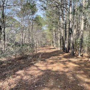 Photo #19 of Off Mini Road, Onley, VA 119.4 acres