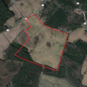 Photo #1 of Off Mini Road, Onley, VA 119.4 acres