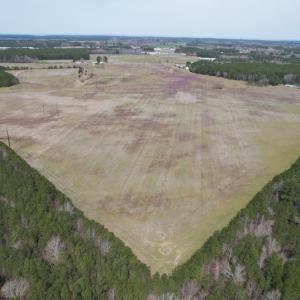 Photo #2 of Off Mini Road, Onley, VA 119.4 acres