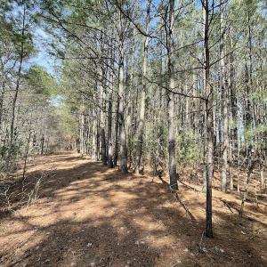 Photo #21 of Off Mini Road, Onley, VA 119.4 acres