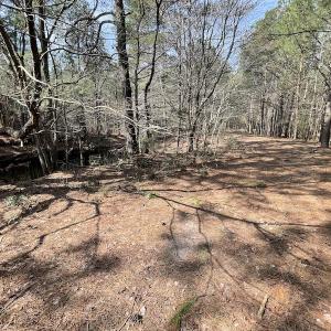 Photo #22 of Off Mini Road, Onley, VA 119.4 acres