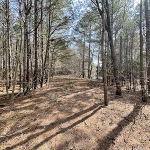 Photo #23 of Off Mini Road, Onley, VA 119.4 acres