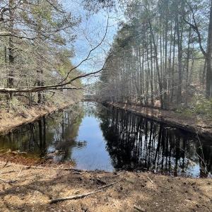 Photo #24 of Off Mini Road, Onley, VA 119.4 acres