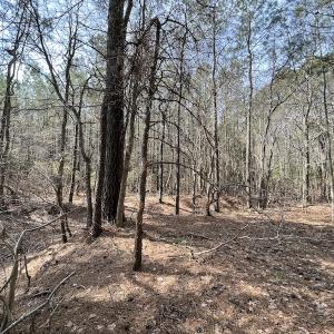 Photo #25 of Off Mini Road, Onley, VA 119.4 acres