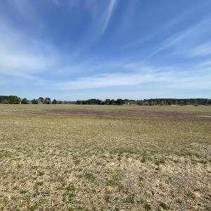 Photo #29 of Off Mini Road, Onley, VA 119.4 acres
