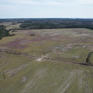 Photo #3 of Off Mini Road, Onley, VA 119.4 acres