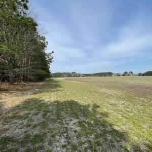 Photo #30 of Off Mini Road, Onley, VA 119.4 acres