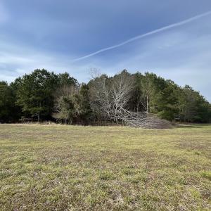 Photo #31 of Off Mini Road, Onley, VA 119.4 acres