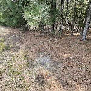 Photo #33 of Off Mini Road, Onley, VA 119.4 acres