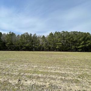 Photo #34 of Off Mini Road, Onley, VA 119.4 acres