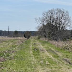 Photo #35 of Off Mini Road, Onley, VA 119.4 acres