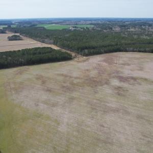 Photo #4 of Off Mini Road, Onley, VA 119.4 acres