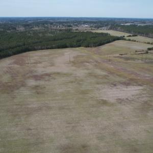 Photo #5 of Off Mini Road, Onley, VA 119.4 acres