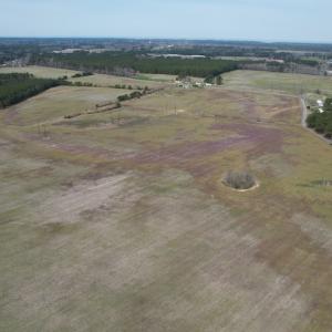 Photo #6 of Off Mini Road, Onley, VA 119.4 acres