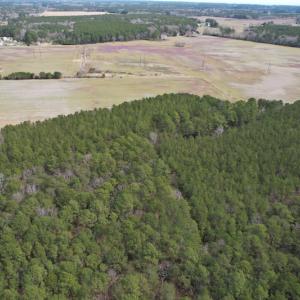Photo #9 of Off Mini Road, Onley, VA 119.4 acres
