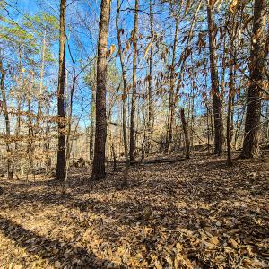 Photo #3 of Off Slow Water Court, Sandy Level, VA 10.6 acres