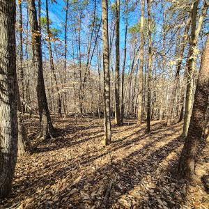 Photo #4 of Off Slow Water Court, Sandy Level, VA 10.6 acres