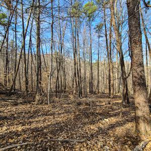 Photo #6 of Off Slow Water Court, Sandy Level, VA 10.6 acres