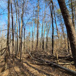 Photo #7 of Off Slow Water Court, Sandy Level, VA 10.6 acres
