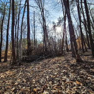 Photo #8 of Off Slow Water Court, Sandy Level, VA 10.6 acres