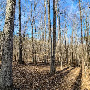 Photo #9 of Off Slow Water Court, Sandy Level, VA 10.6 acres
