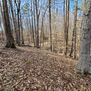 Photo #12 of Off Slow Water Court, Sandy Level, VA 10.6 acres