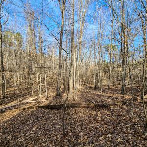 Photo #13 of Off Slow Water Court, Sandy Level, VA 10.6 acres