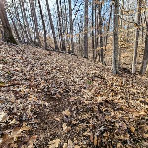 Photo #14 of Off Slow Water Court, Sandy Level, VA 10.6 acres