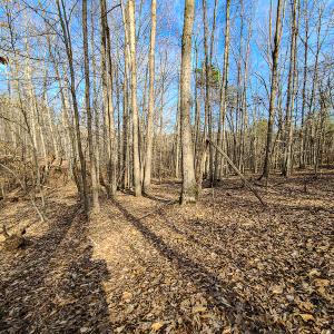 Photo #15 of Off Slow Water Court, Sandy Level, VA 10.6 acres