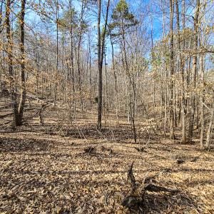 Photo #16 of Off Slow Water Court, Sandy Level, VA 10.6 acres