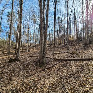Photo #17 of Off Slow Water Court, Sandy Level, VA 10.6 acres