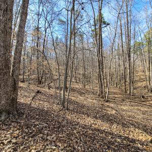 Photo #18 of Off Slow Water Court, Sandy Level, VA 10.6 acres