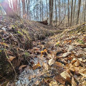 Photo #19 of Off Slow Water Court, Sandy Level, VA 10.6 acres