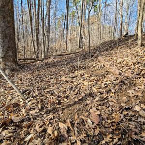 Photo #20 of Off Slow Water Court, Sandy Level, VA 10.6 acres