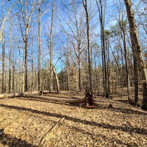 Photo #21 of Off Slow Water Court, Sandy Level, VA 10.6 acres