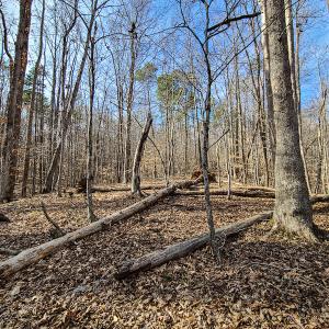 Photo #22 of Off Slow Water Court, Sandy Level, VA 10.6 acres