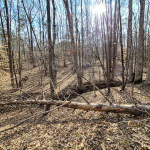 Photo #23 of Off Slow Water Court, Sandy Level, VA 10.6 acres