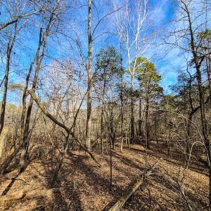 Photo #24 of Off Slow Water Court, Sandy Level, VA 10.6 acres