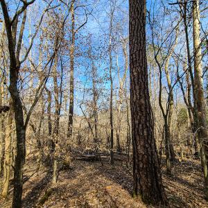 Photo #26 of Off Slow Water Court, Sandy Level, VA 10.6 acres
