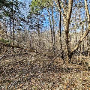 Photo #27 of Off Slow Water Court, Sandy Level, VA 10.6 acres