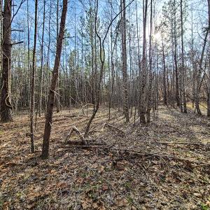 Photo #29 of Off Slow Water Court, Sandy Level, VA 10.6 acres