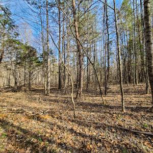 Photo #30 of Off Slow Water Court, Sandy Level, VA 10.6 acres