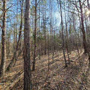 Photo #31 of Off Slow Water Court, Sandy Level, VA 10.6 acres
