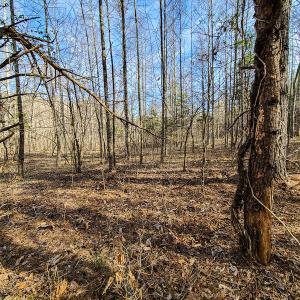 Photo #32 of Off Slow Water Court, Sandy Level, VA 10.6 acres