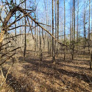 Photo #33 of Off Slow Water Court, Sandy Level, VA 10.6 acres