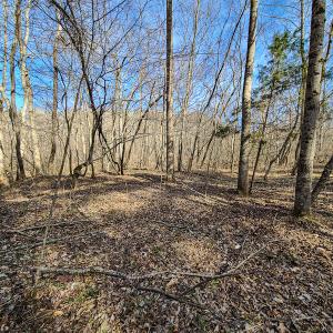 Photo #34 of Off Slow Water Court, Sandy Level, VA 10.6 acres