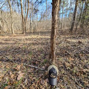 Photo #35 of Off Slow Water Court, Sandy Level, VA 10.6 acres